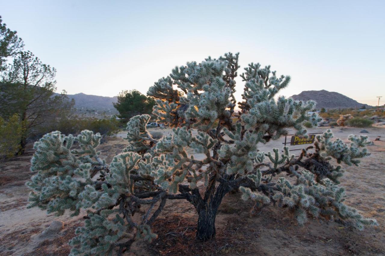 @ Marbella Lane - 10 Acres Oasis Desert Retreat! Joshua Tree Ngoại thất bức ảnh