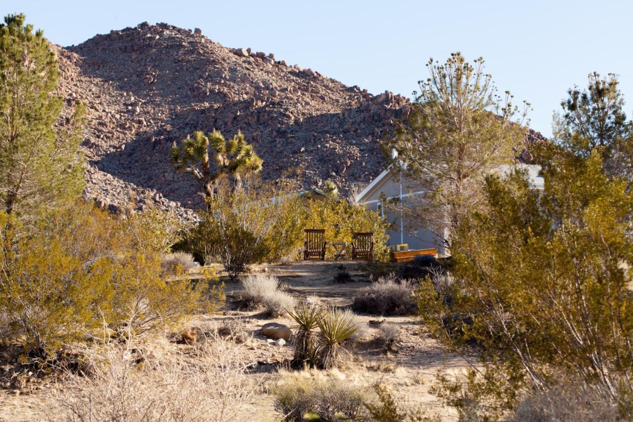 @ Marbella Lane - 10 Acres Oasis Desert Retreat! Joshua Tree Ngoại thất bức ảnh