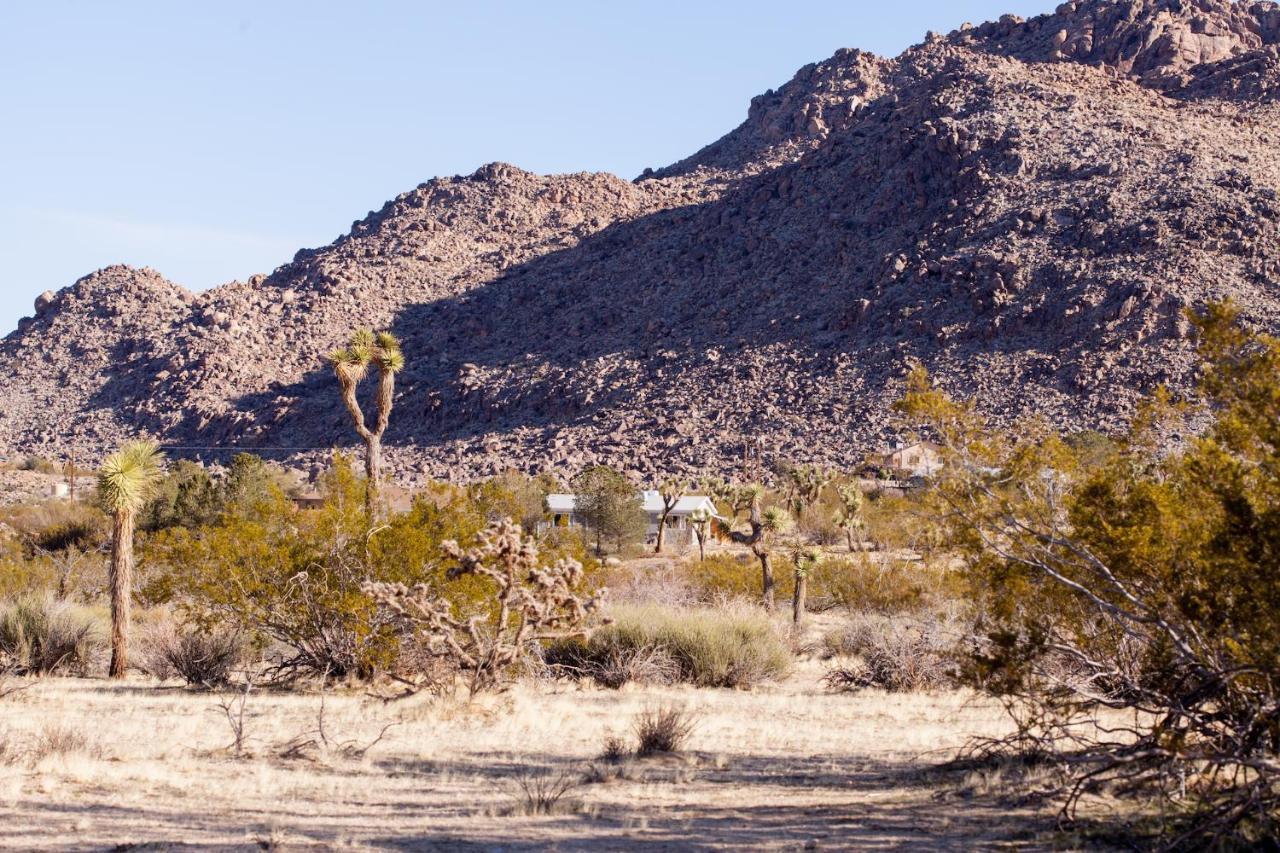 @ Marbella Lane - 10 Acres Oasis Desert Retreat! Joshua Tree Ngoại thất bức ảnh